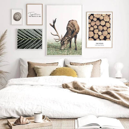 Woodland Story